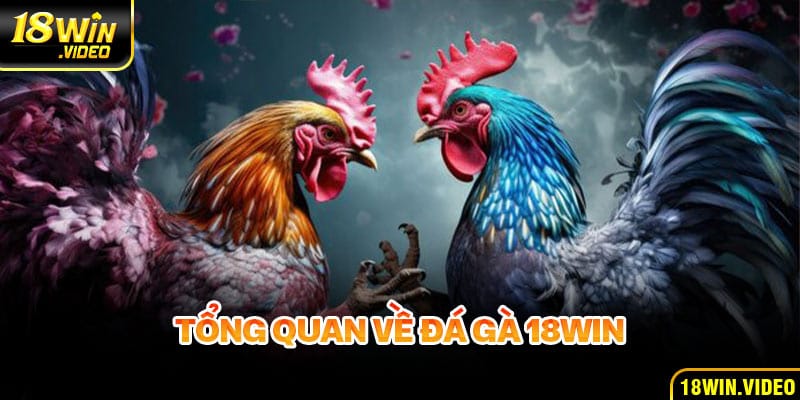 Tổng quan về Đá Gà 18WIN