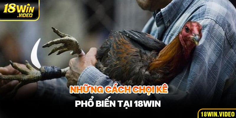 Những cách chọi kê phổ biến tại 18WIN