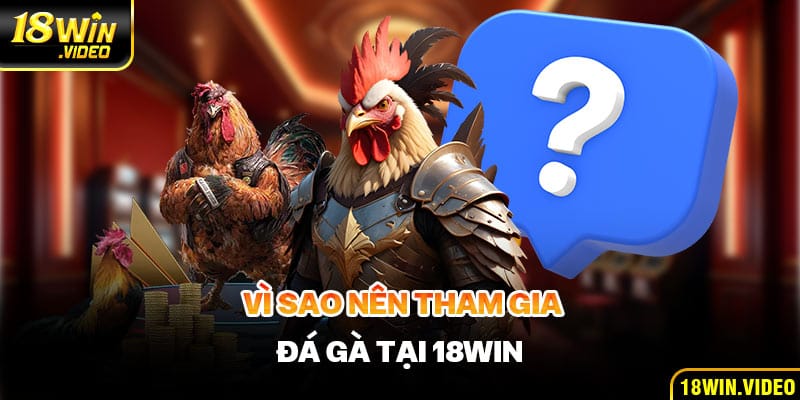 Vì sao nên tham gia đá gà tại 18WIN