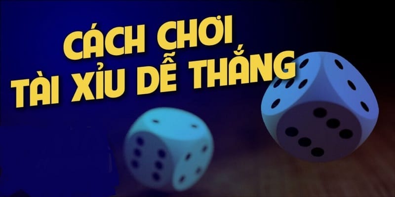 Hướng dẫn cách chơi từ A - Z cho bet thủ